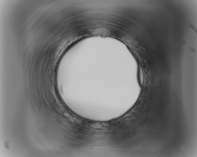 X0000102370241200808221745