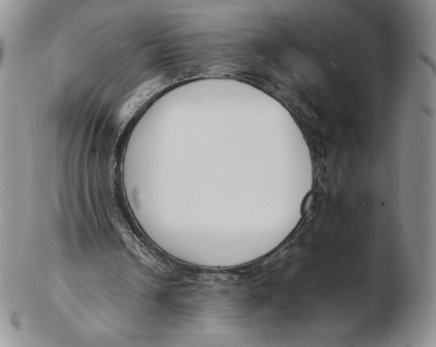 X0000102370242200808221745