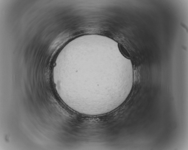 X0000102370243200808221745