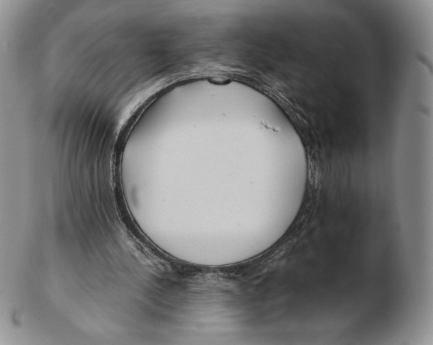 X0000102370244200808221745