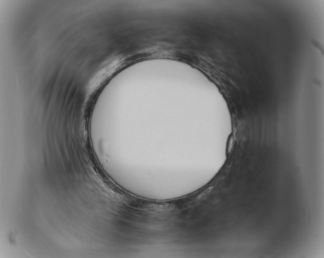 X0000102370245200808221745