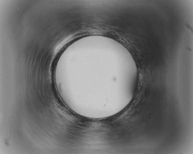 X0000102370246200808221745