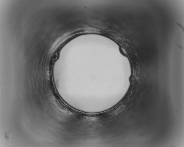 X0000102370247200808221745