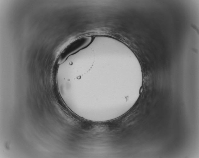 X0000102370248200808221745