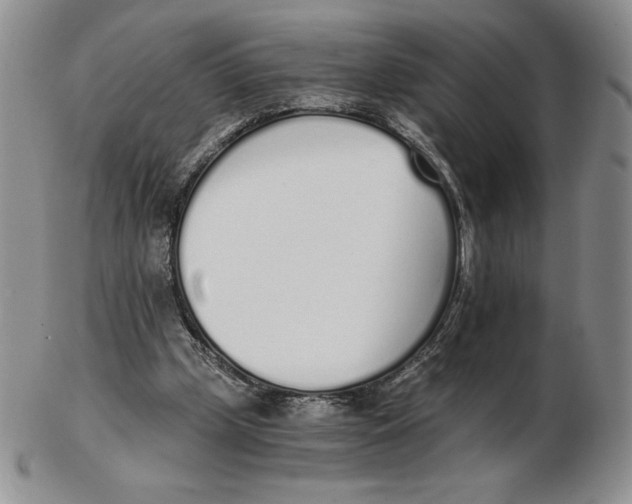 X0000102370249200808221745