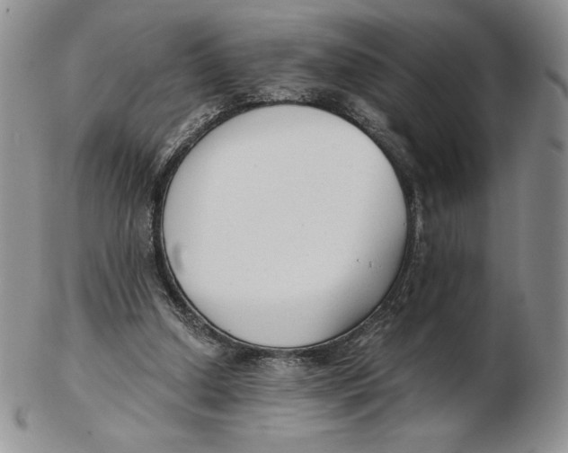 X0000102370250200808221745