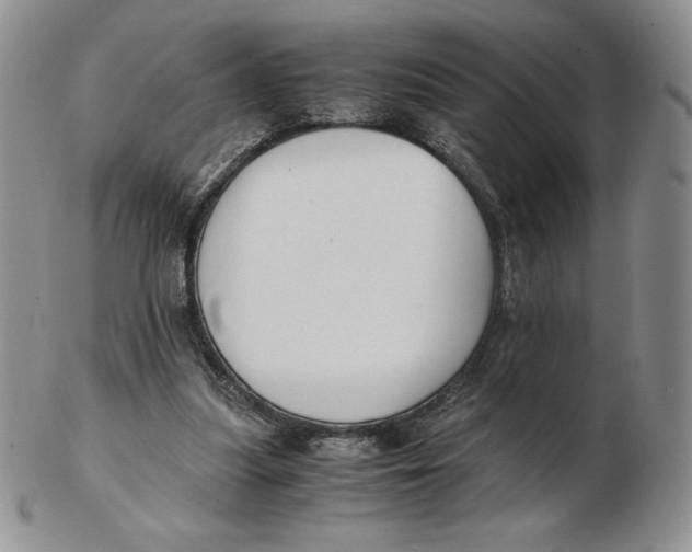 X0000102370251200808221745