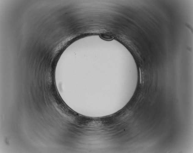 X0000102370252200808221745