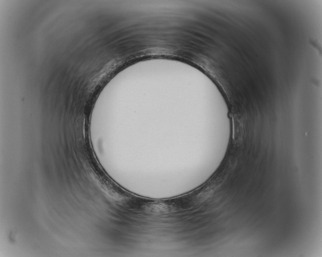 X0000102370253200808221745