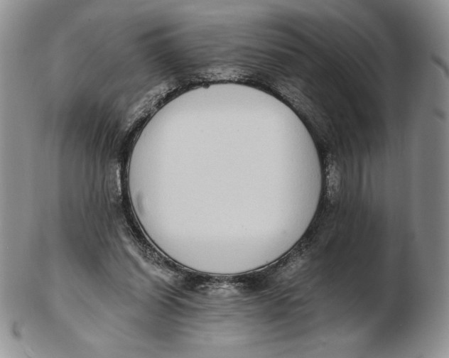 X0000102370254200808221745