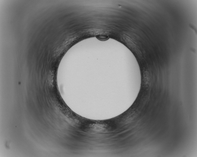 X0000102370255200808221745