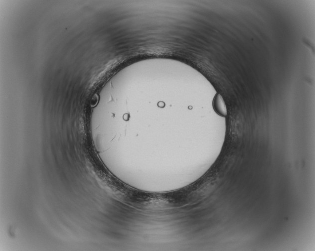 X0000102370256200808221745