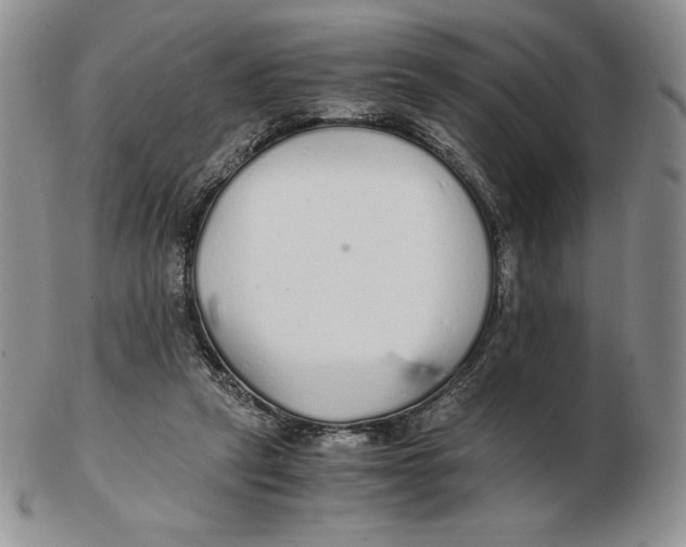 X0000102370257200808221745