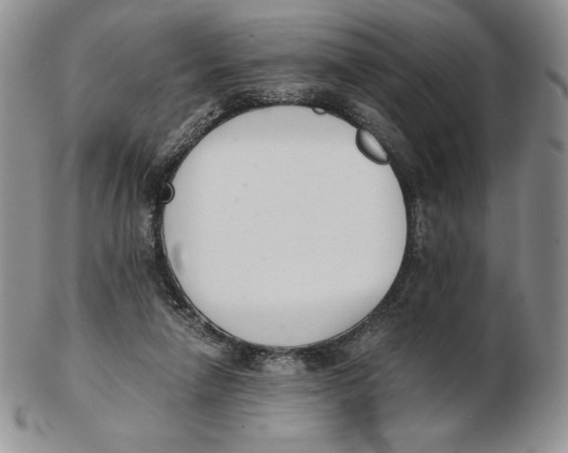 X0000102370258200808221745