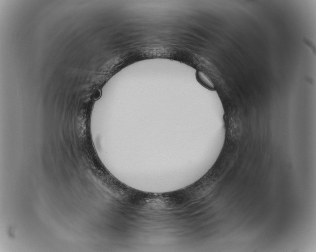 X0000102370259200808221745