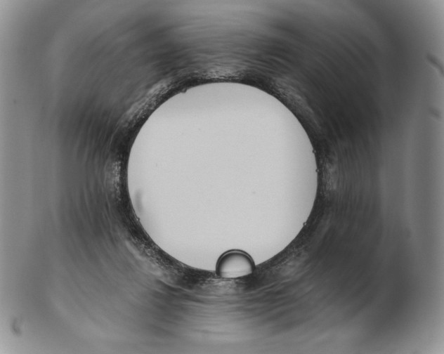 X0000102370260200808221746