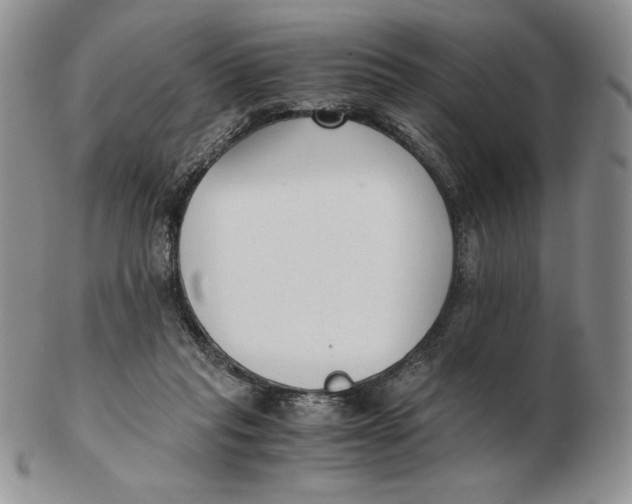 X0000102370261200808221746