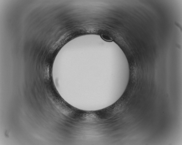 X0000102370262200808221746