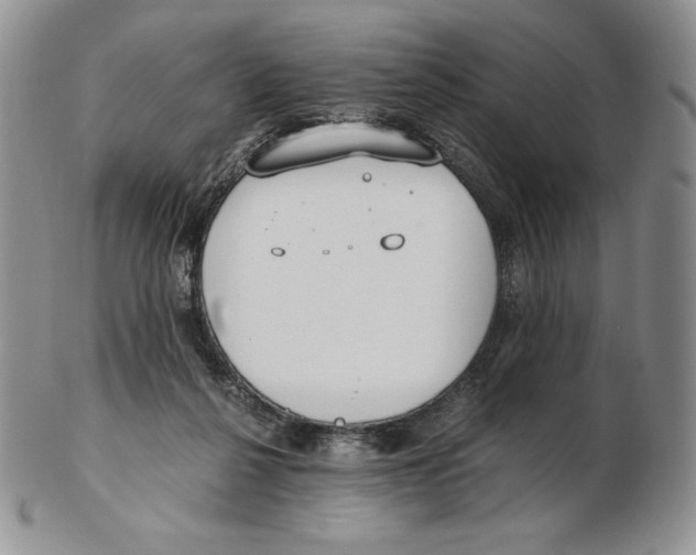 X0000102370264200808221746