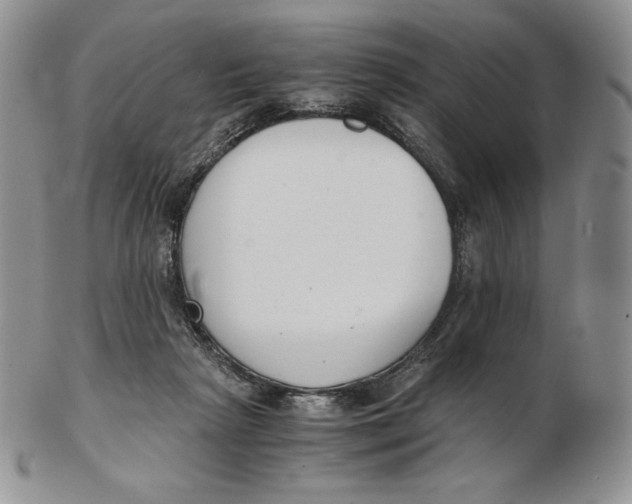 X0000102370265200808221746