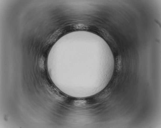 X0000102370266200808221746