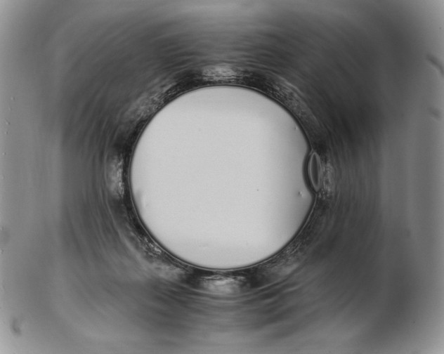 X0000102370267200808221746