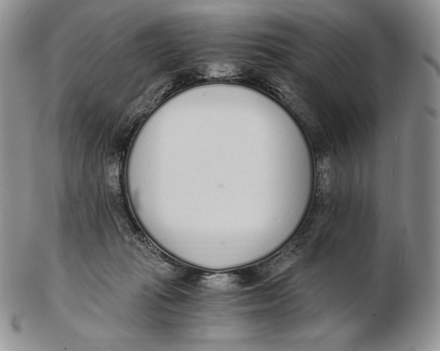 X0000102370269200808221746