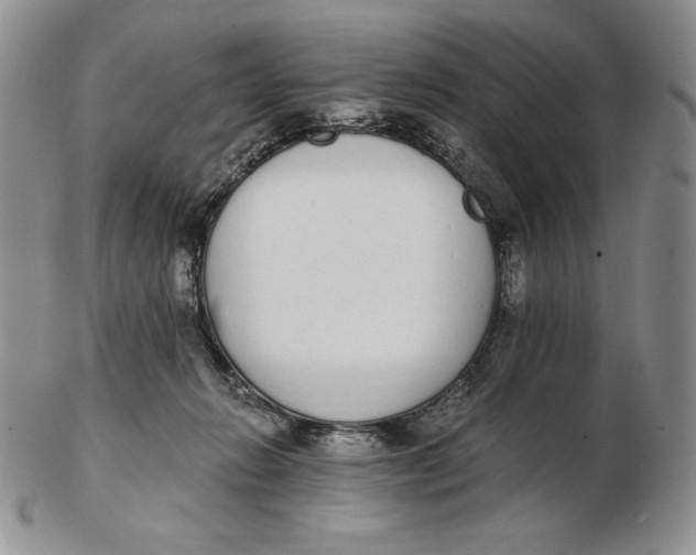 X0000102370270200808221746