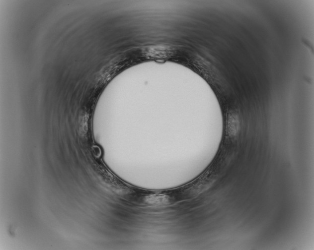 X0000102370271200808221746