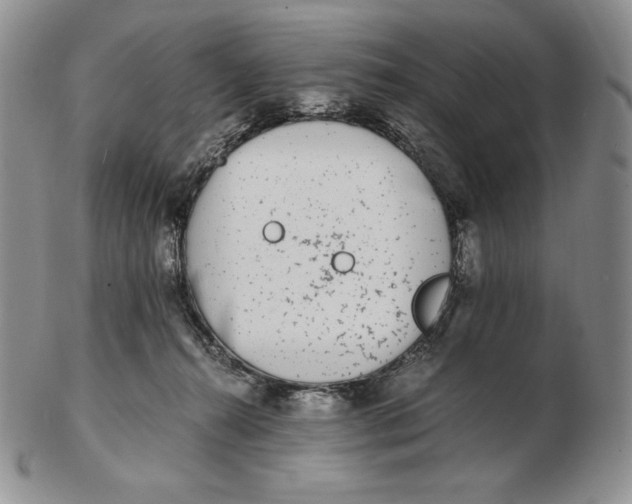 X0000102370272200808221746