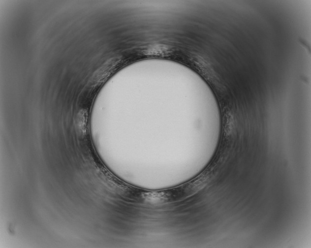 X0000102370273200808221746