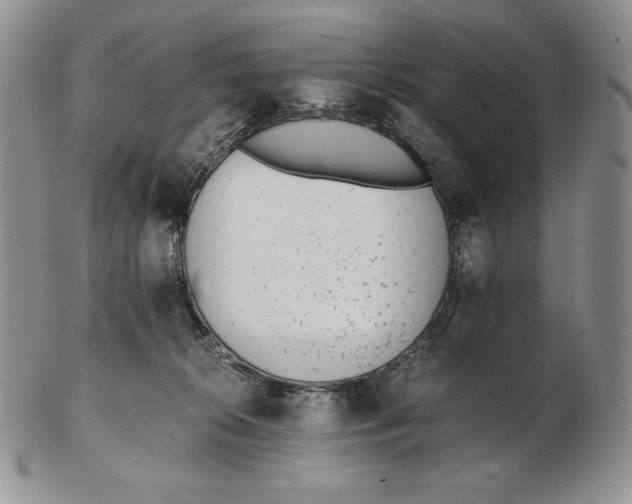 X0000102370276200808221746