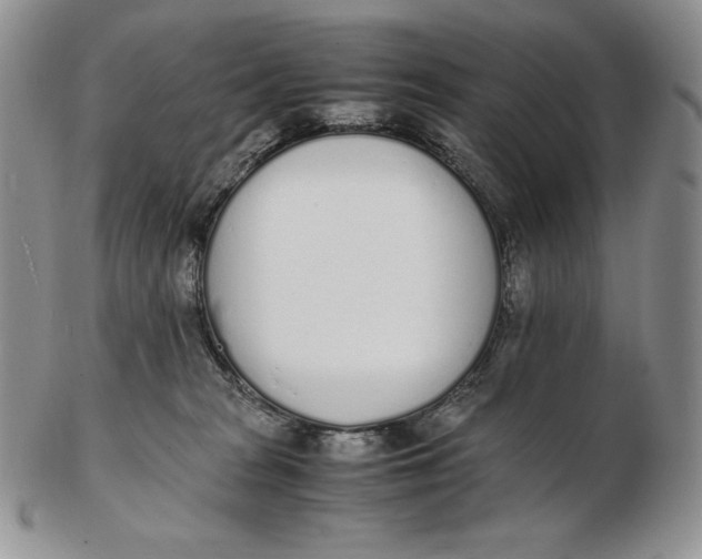 X0000102370277200808221746