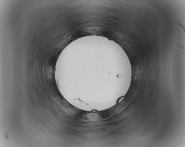 X0000102370279200808221746