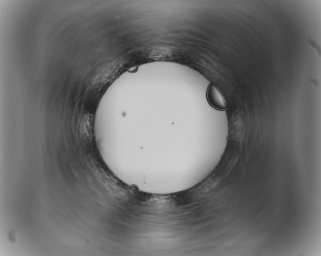 X0000102370280200808221746