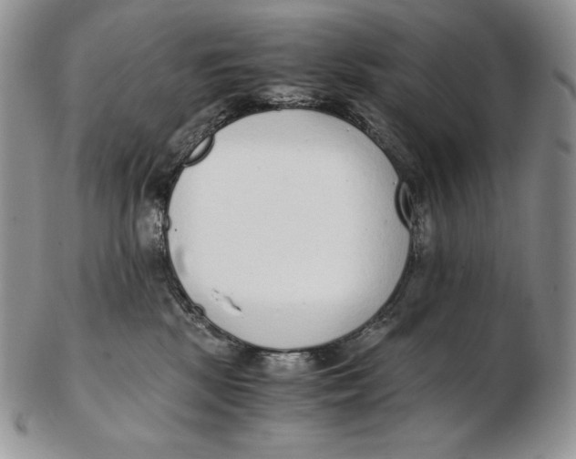 X0000102370281200808221746