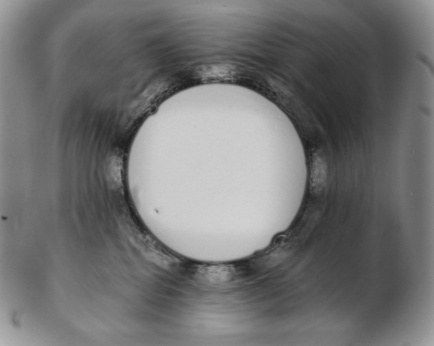 X0000102370282200808221746