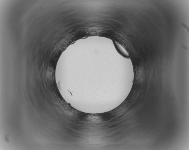 X0000102370283200808221746