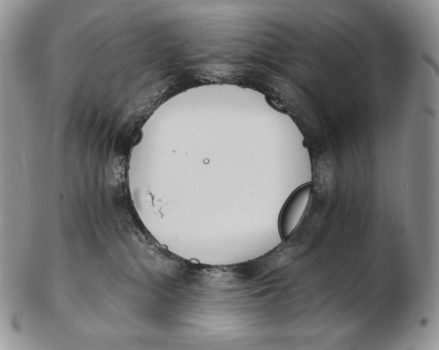 X0000102370284200808221746