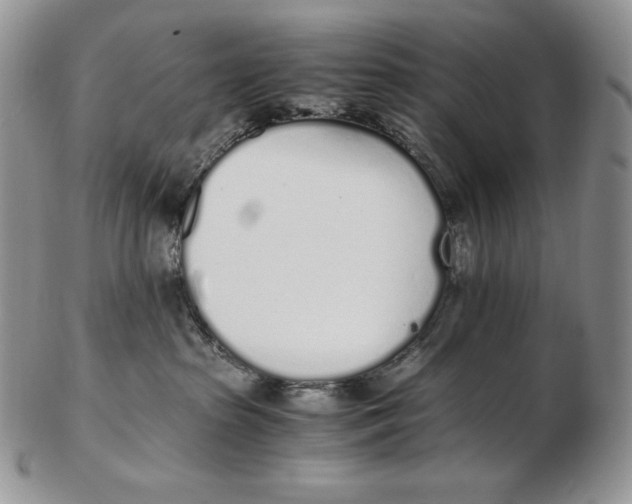 X0000102370285200808221746