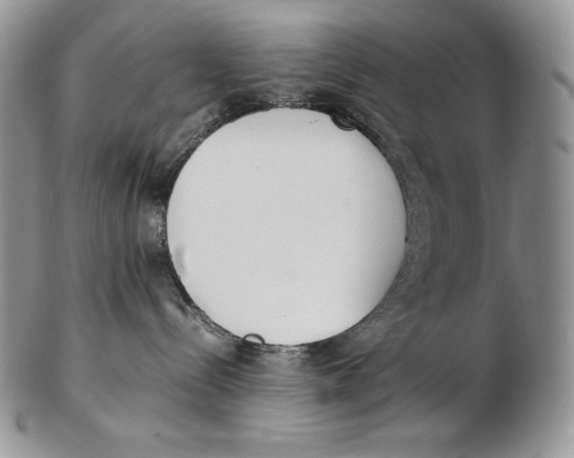 X0000102370288200808221746