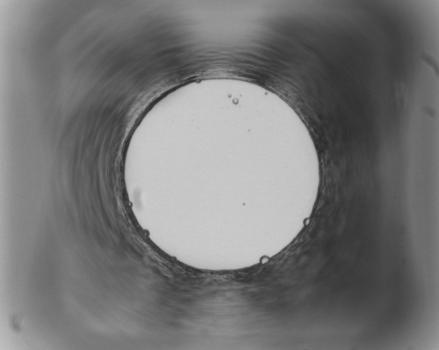 X0000102370289200808221745