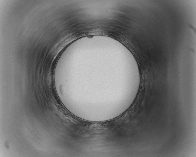 X0000102370290200808221745