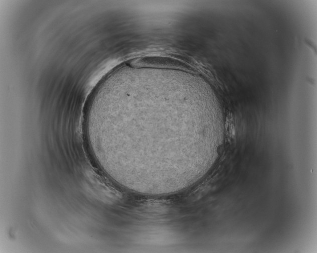 X0000102370292200808221745