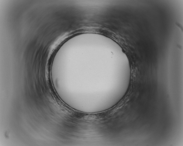 X0000102370294200808221745