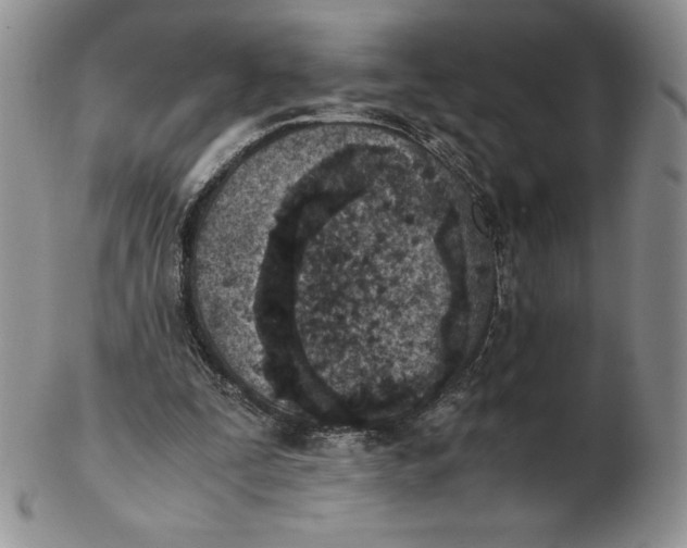 X0000102370295200808221745