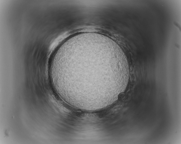 X0000102370296200808221745