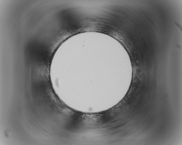 X0000102370297200808221745