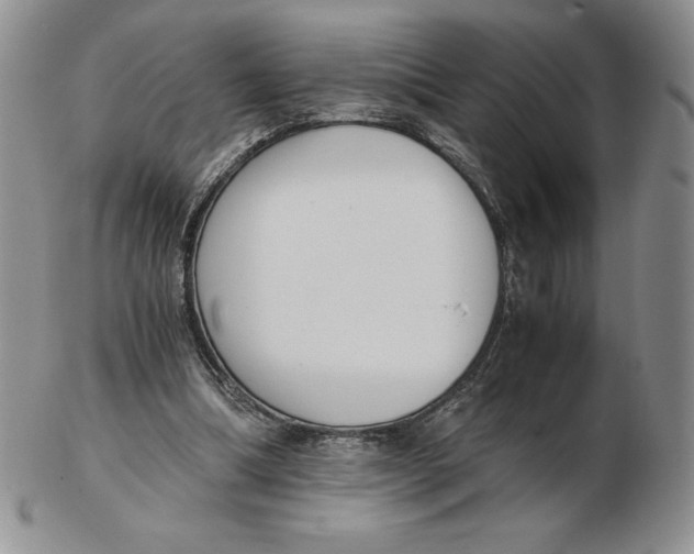 X0000102370298200808221745