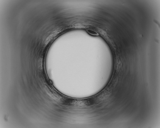 X0000102370299200808221745